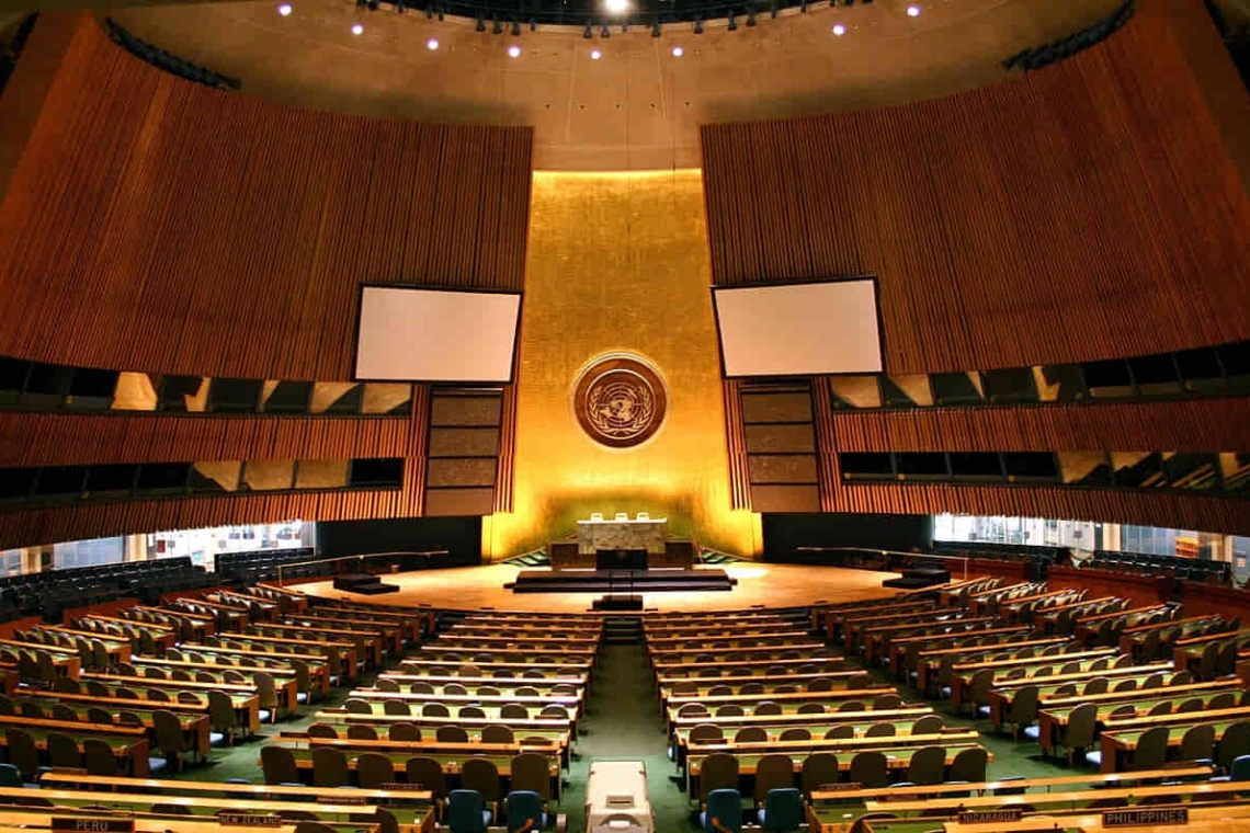Par Patrick Gruban, cropped and downsampled by Pine — originally posted to Flickr as UN General Assembly, CC BY-SA 2.0, https://commons.wikimedia.org/w/index.php?curid=4806869